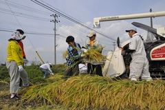 中ふれあいおまつり広場の様子